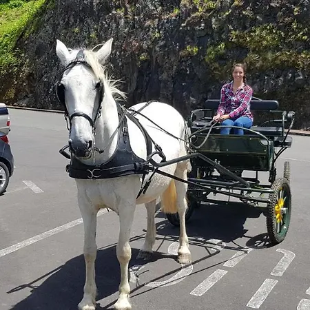 Pérola Achadense *
